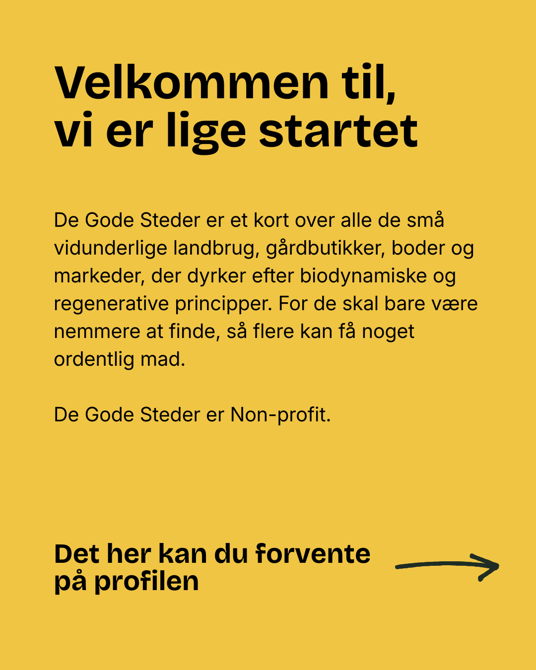 Instagram opslag 2